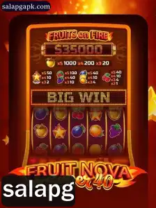 FruitNovaSuper40 e sua Dinâmica de Jogo