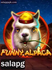 Descubra o Mundo Divertido de FunnyAlpaca